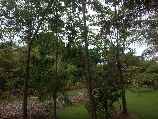 #48 - Chácara para Venda em Alvorada do Sul - PR - 3